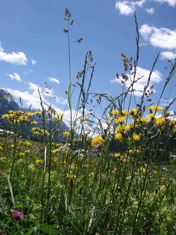 Ferienwohnungen Durst Roswitha Schattwald Exterior foto