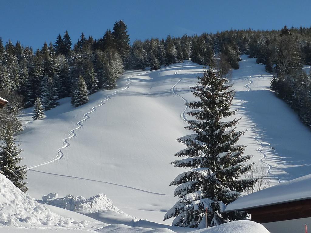 Ferienwohnungen Durst Roswitha Schattwald Exterior foto