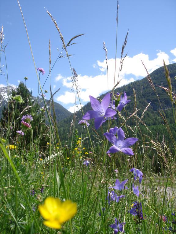 Ferienwohnungen Durst Roswitha Schattwald Exterior foto